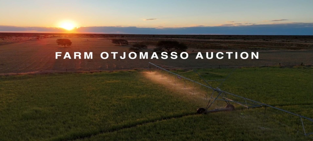 Omaheke, ,Farm,Auction,1105