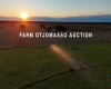 Omaheke, ,Farm,Auction,1105